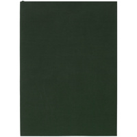 Ежедневник Flat Light, недатированный, зеленый
