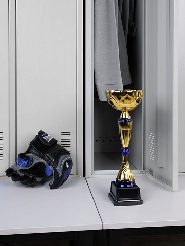 Кубок Awardee, средний, синий - рис 6.