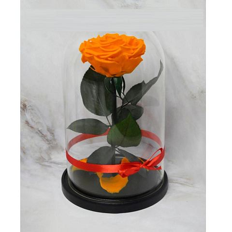 Оранжевая роза в колбе (большая)