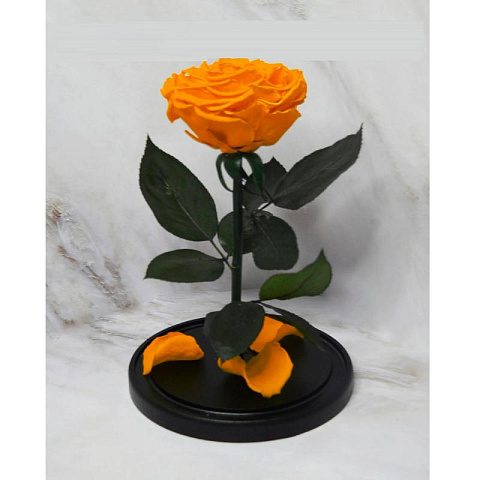 Оранжевая роза в колбе (большая) - рис 2.