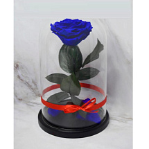 Синяя роза в колбе (большая)