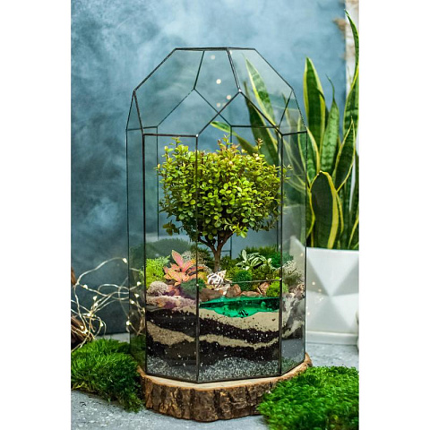 Сад в стекле Сказочный Остров - рис 6.