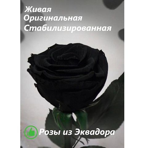 Черная роза в колбе (средняя) - рис 3.
