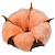 Цветок хлопка Cotton, оранжевый - миниатюра - рис 2.