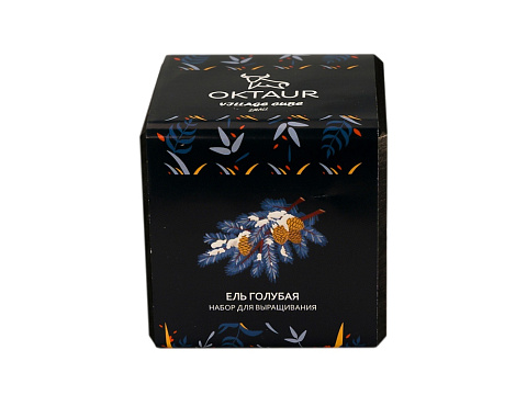 Набор для выращивания Small village cube Ель Голубая - рис 2.