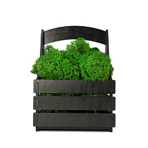 Композиция Корзинка со мхом, черный