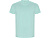 Футболка Golden мужская, ментоловый - миниатюра