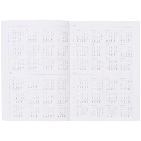 Ежедневник Vivian Metal, недатированный, черный - рис 6.