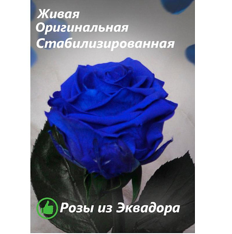 Синяя роза в колбе (средняя) - рис 3.