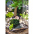 Флорариум Вяз в стеклянном саду - миниатюра - рис 4.