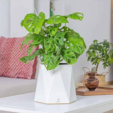 Умное кашпо myPot - рис 7.