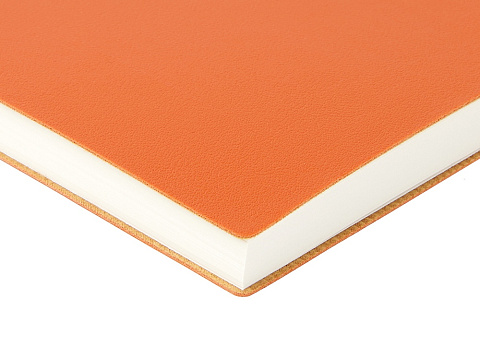 Ежедневник недатированный А5 Grand, оранжевый - рис 5.