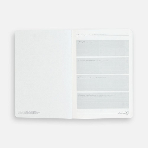 Ежедневник Extra, недатированный, синий - рис 11.