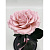 Розовая роза в колбе (большая) - миниатюра - рис 2.