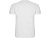 Спортивная футболка Montecarlo мужская, белый - миниатюра - рис 2.