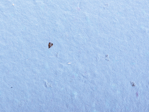 Живой блокнот с семенами цветов, А6, синий - рис 7.