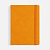Ежедневник Urban Hard, недатированный, оранжевый - миниатюра