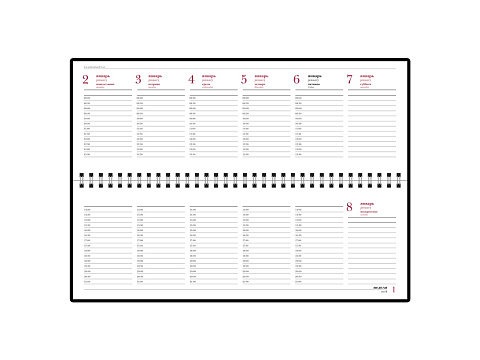 Планинг датированный Бумвинил 2025, черный - рис 2.