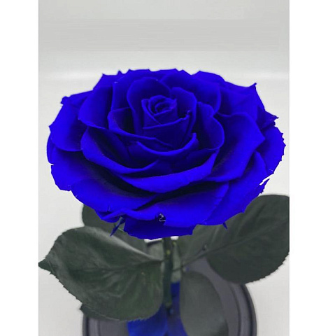 Синяя роза в колбе (большая) - рис 2.