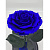 Синяя роза в колбе (большая) - миниатюра - рис 2.