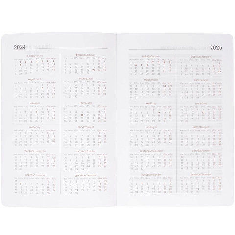 Ежедневник Basis, датированный, красный - рис 5.