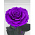 Фиолетовая роза в колбе (большая) - миниатюра - рис 3.