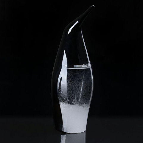 Штормгласс Penguin, черный - рис 5.