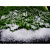 Искусственный снег Ледяная крошка (200гр) - миниатюра - рис 3.