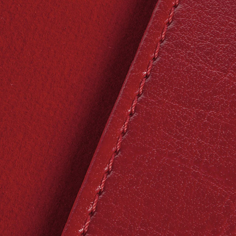 Обложка для паспорта Nebraska, красная - рис 7.