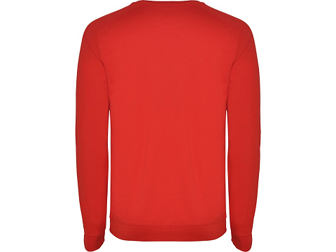 Свитшот Annapurna мужской, красный - рис 2.