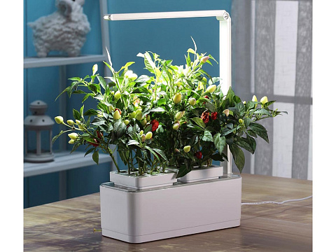 Компактный смарт-сад iGarden LED с подсветкой - рис 3.