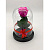 Фуксия роза в колбе из стекла - миниатюра