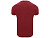 Футболка Husky мужская, гранатовый - миниатюра - рис 2.