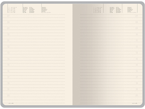 Ежедневник недатированный А5 Megapolis Nebraska, коричневый с золотым обрезом - рис 5.