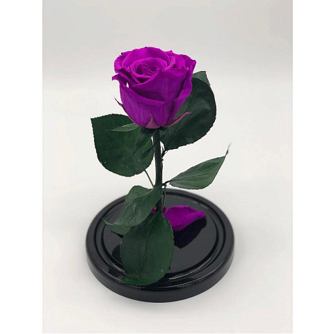 Фиолетовая роза в колбе из стекла - рис 2.