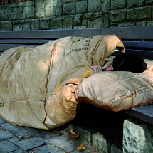 Постельное белье "Бездомный" ЕВРО
