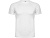 Спортивная футболка Montecarlo мужская, белый - миниатюра