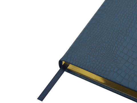 Ежедневник недатированный А5 Amazonia, синий с золотым обрезом - рис 4.