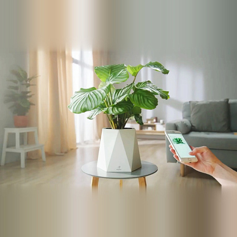 Умное кашпо myPot - рис 2.