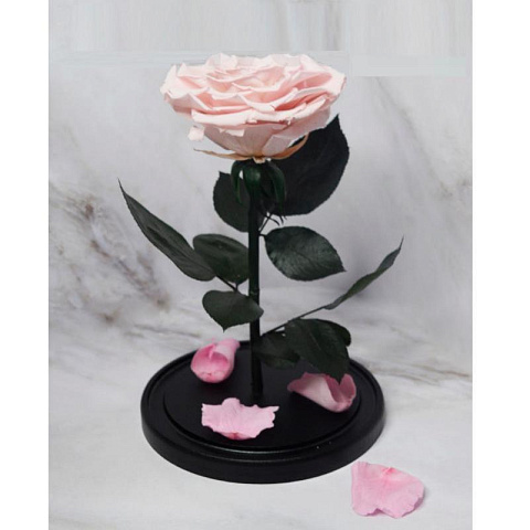 Розовая роза в колбе (большая) - рис 3.
