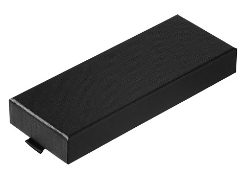 Футляр для 2-х ручек Aristocrat, черный - рис 2.