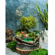 Сад в стекле Сказочный Остров