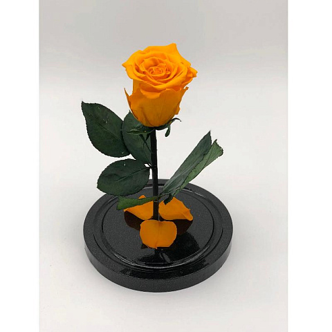 Оранжевая роза в колбе из стекла - рис 2.