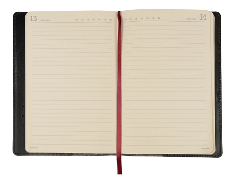 Ежедневник полудатированный портфолио А5  PROFY черный - рис 3.