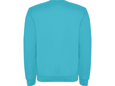Свитшот с начесом Clasica унисекс, бирюзовый - рис 2.