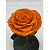 Оранжевая роза в колбе (большая) - миниатюра - рис 3.