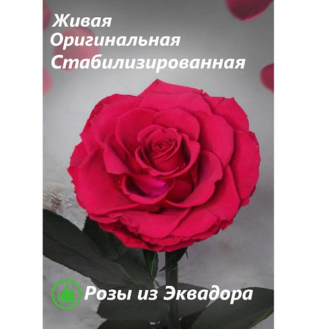 Малиновая роза в колбе (большая) - рис 3.