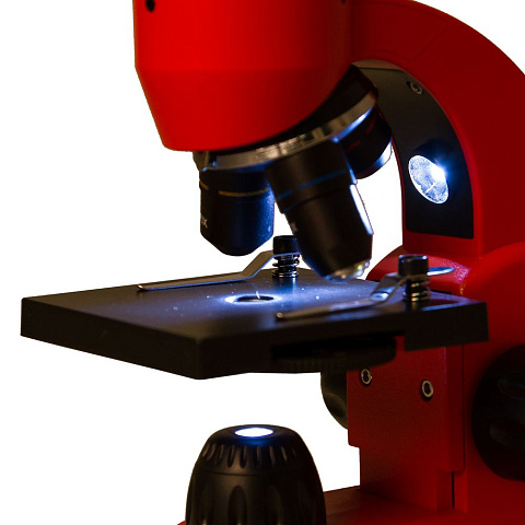 Монокулярный микроскоп Rainbow 50L с набором для опытов, красный - рис 7.