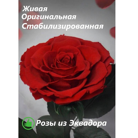 Красная роза в колбе (большая) - рис 2.