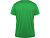 Футболка Daytona мужская, папоротниковый - миниатюра - рис 2.